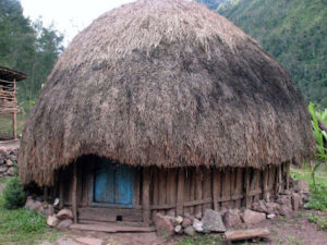 Contoh Gambar Desain Rumah Adat Papua, Rumah Honai