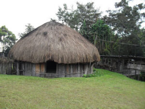 Contoh Gambar Desain Rumah Adat Papua, Rumah Honai