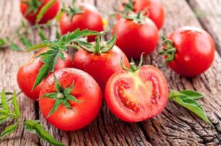 Buah Tomat mengandung vitamin Apa Saja dan Manfaatnya