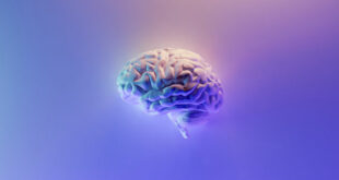 Revolusi Komputasi: Brainoware, Komputer Canggih Berbasis Organoid Otak Manusia