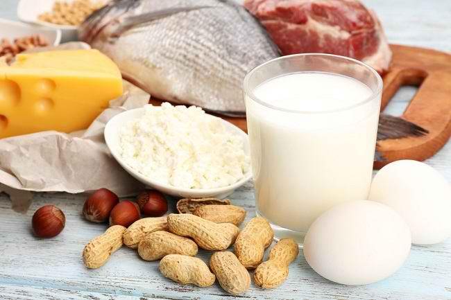11 High-Protein Foods and Their Intake Amounts